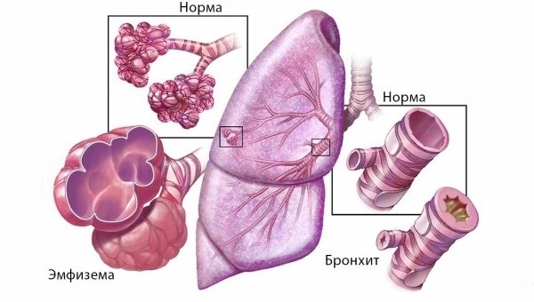 Чем мы можем помочь призывникам?