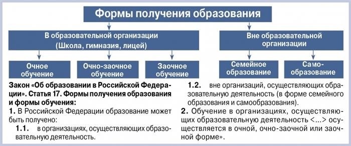 Заочное обучение для школы: сложности и плюсы