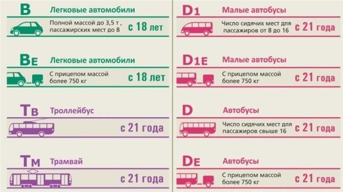 С-тип пометки в водительском документе: что это и когда нужно?