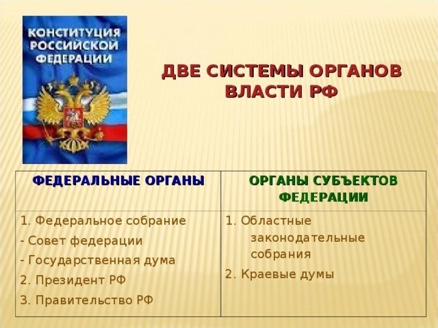 Что собой представляют федеральные государственные органы?