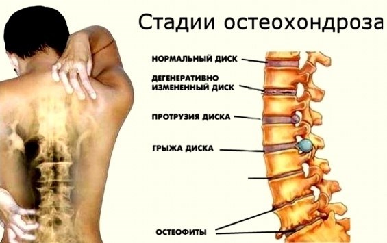 Можно ли изменить или снять статью?