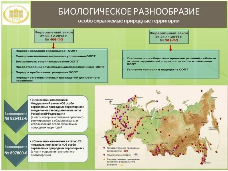 Обзор законодательного акта 208-ФЗ: цель и сфера применения